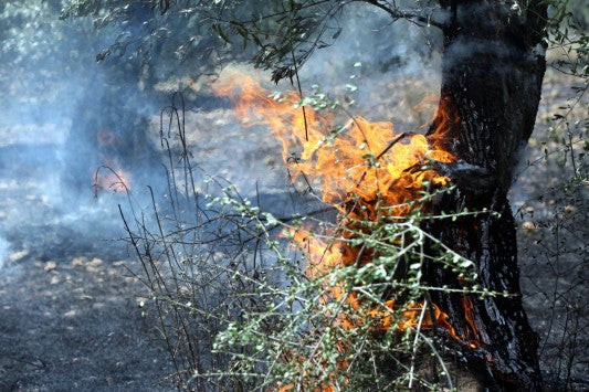 Φωτιά τώρα κοντά στο Αγρίνιο